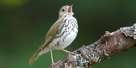 Screenshot 2026-04-07 at 2.02.57 PM.png