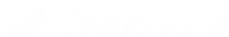 Logo TeamPuls wit.png
