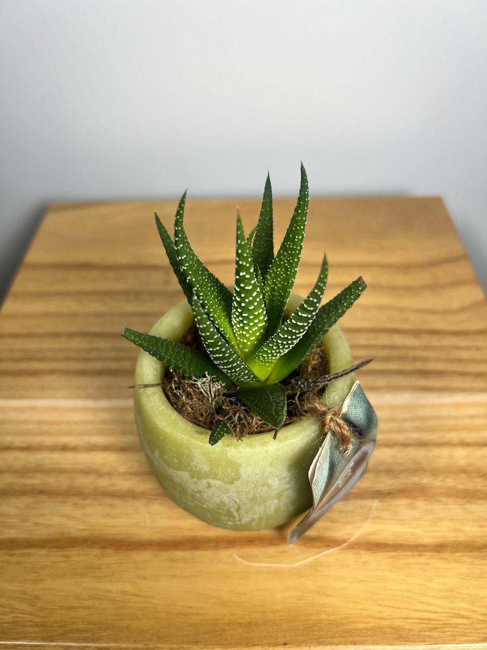 Miniatúra: Aroma Bowl arr.