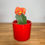 Indexkép: PotLex Red