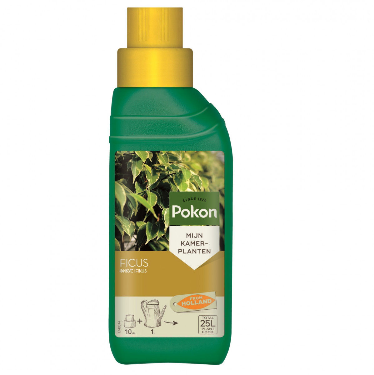 Ficus Supply 250ml