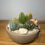 Miniatúra: Cactus Bowl Ceramic
