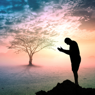 O jardim esquecido: semeando a Imago Dei com Jung