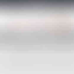 large orthopedic dog bed