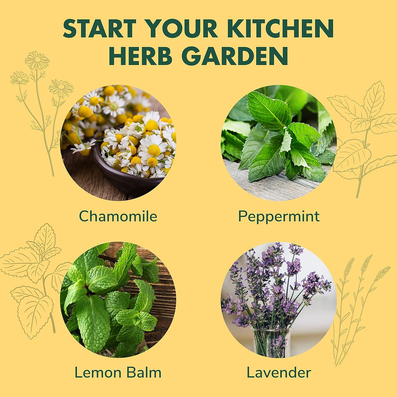 indoor herbal seeds growing kit