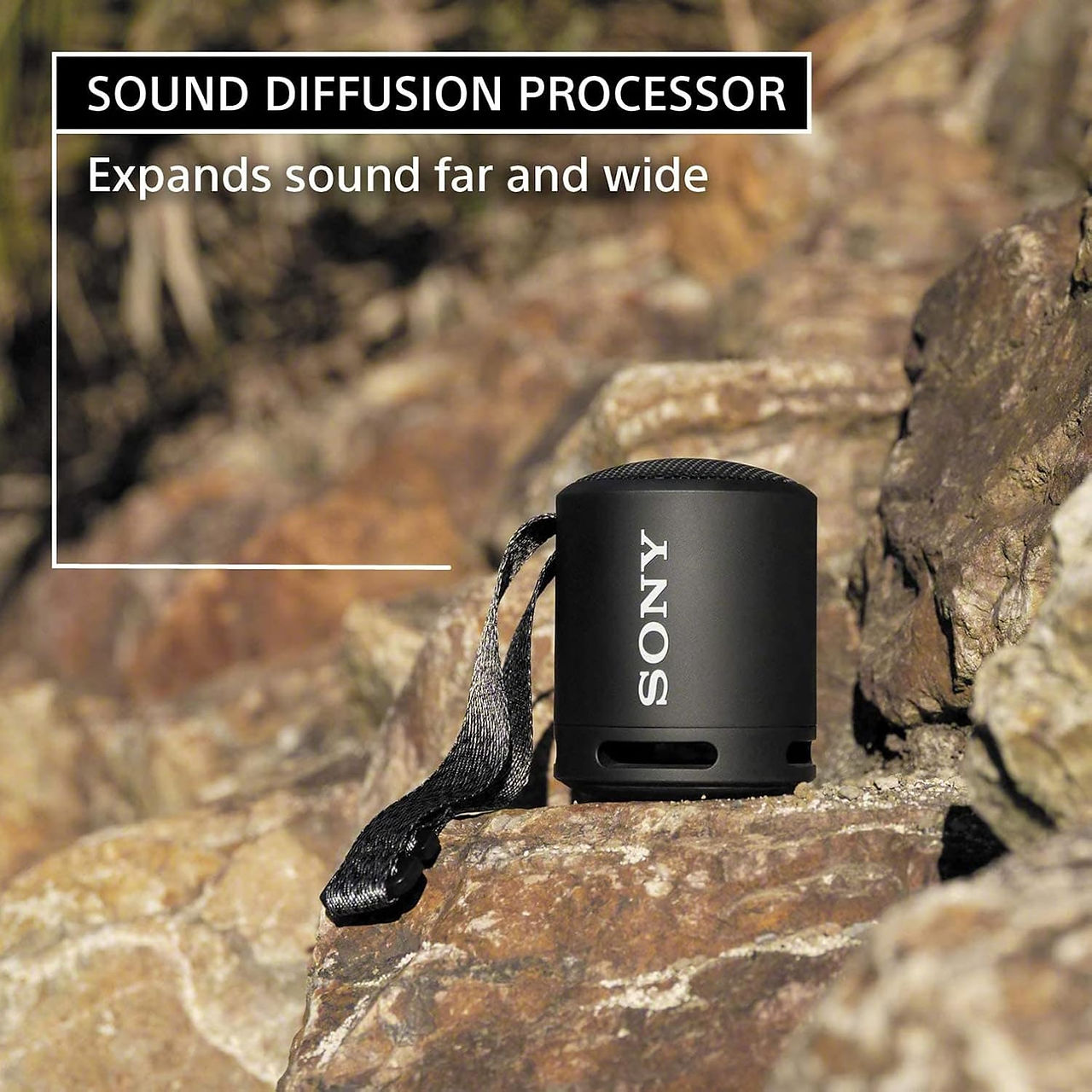Sony portable bluetooth speaker