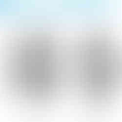 RFID passport family holder