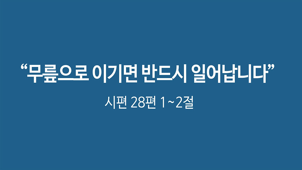 26년 4월 26일