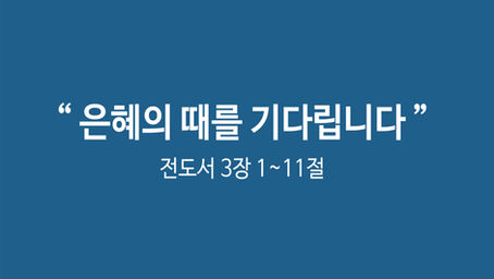 25년 12월 28일