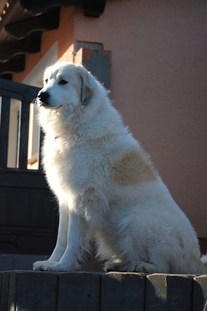 WhatsApp Image 2026-03-29 at 19.16.37.jpeg