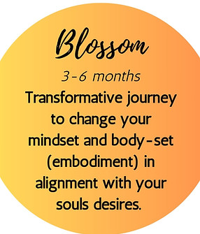 The Sweta Way Blossom programme over 3-6 months 
