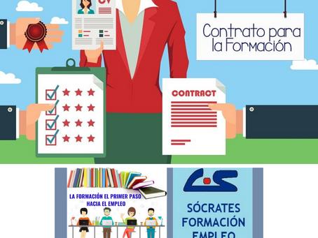 Proyectos Formativos en la formación en alternancia con el empleo: estructura y características