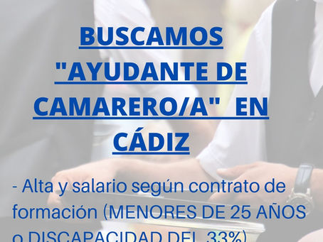 AYUDANTE DE CAMARERO/A