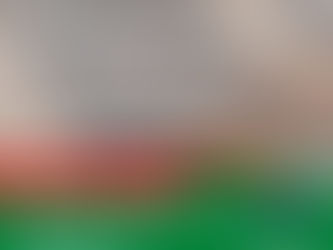 ACTA DE ADMISIÓN PROVISIONAL ALUMNADO IFCD56 "INTRODUCCIÓN A LA PROGRAMACIÓN MOBILE"