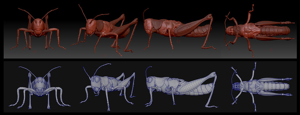 Grass hopper: step1