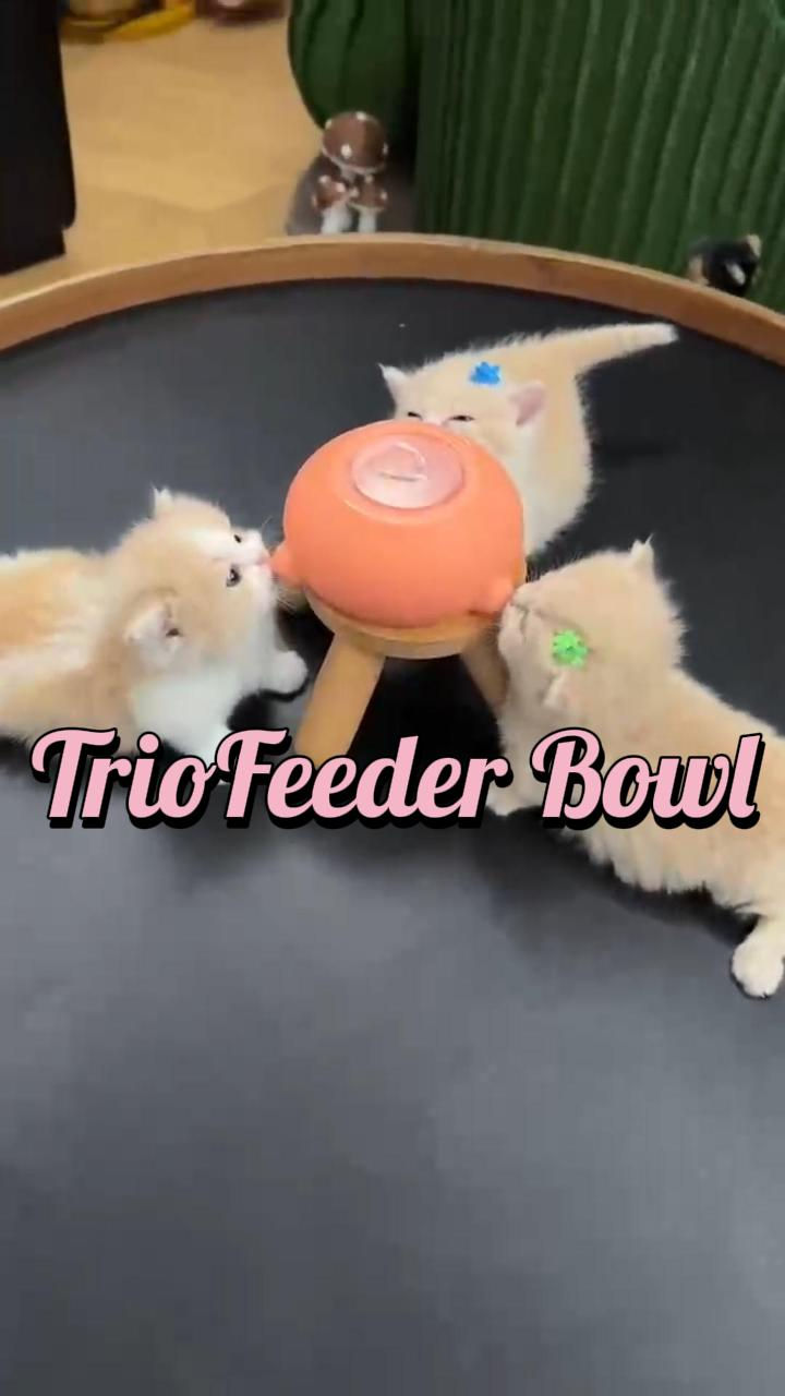 TrioFeeder Bowl