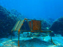Underwater conservation at Chumphon Marine Park
