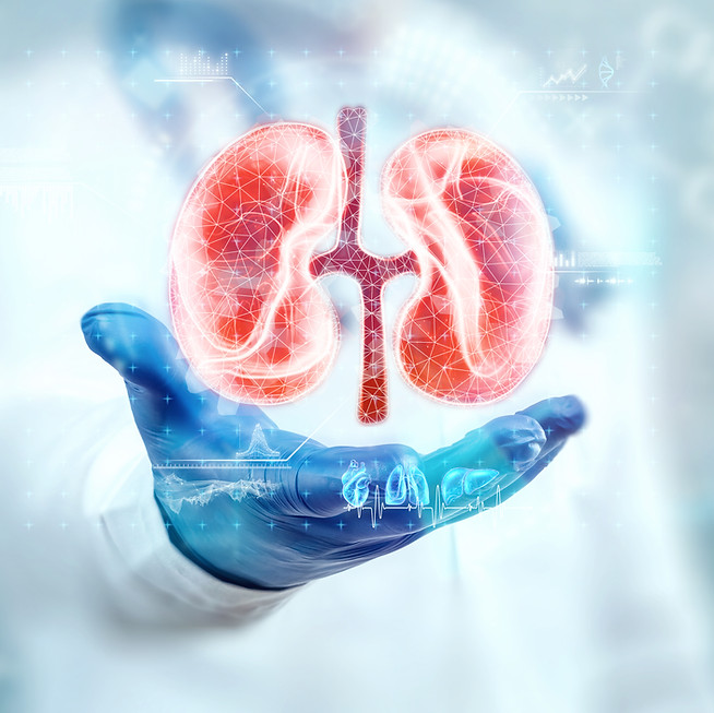 o-medico-olha-o-holograma-rim-verifica-o-resultado-teste-na-interface-virtual-e-analisa-os