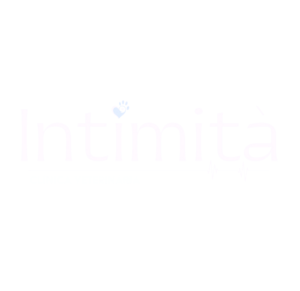 Logo Intimità-min (2)_edited.png
