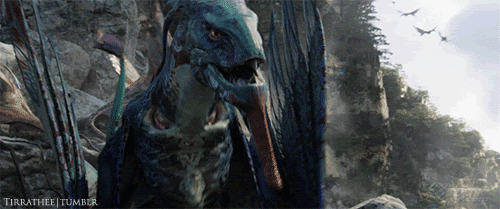 IMG_0294.GIF