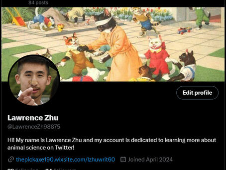 Week 6: Twitter!