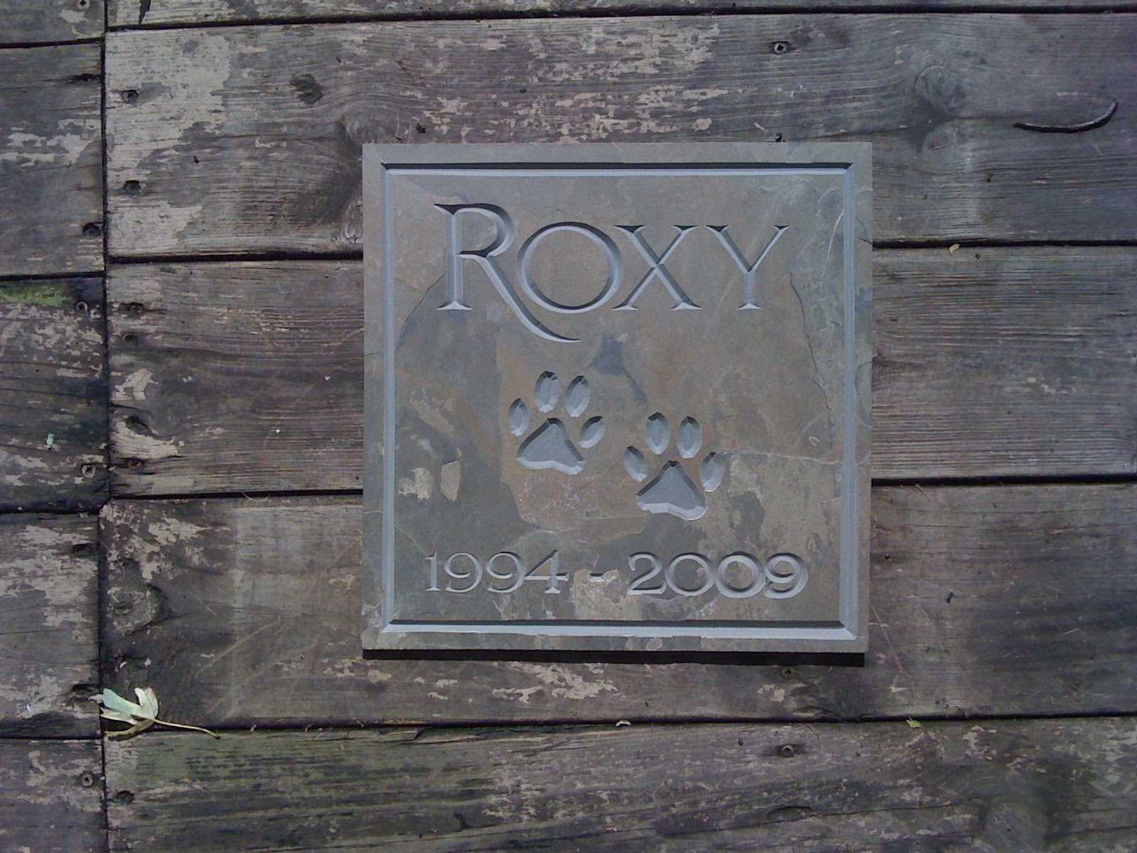 roxy slate sign