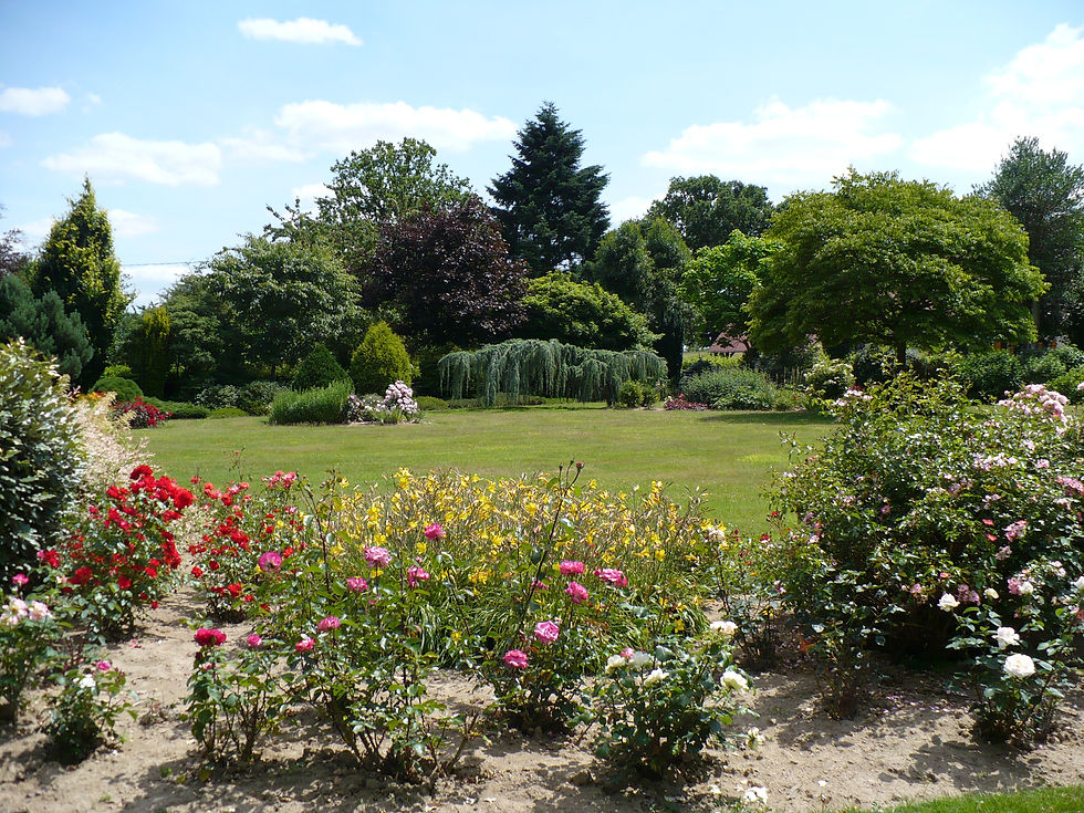 Entretien de jardin