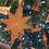 Thumbnail: 8 point intricate star Christmas Decoration