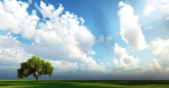 Naturaleza.jpg