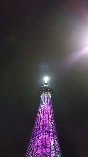 DSC_0599.JPG
