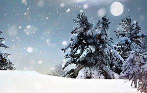 Snowy Night_edited_edited_edited.jpg