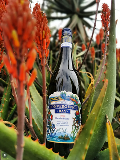 Convergence Bay Wine Label for Just Design