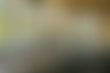 The Season of Open Houses and Free Items