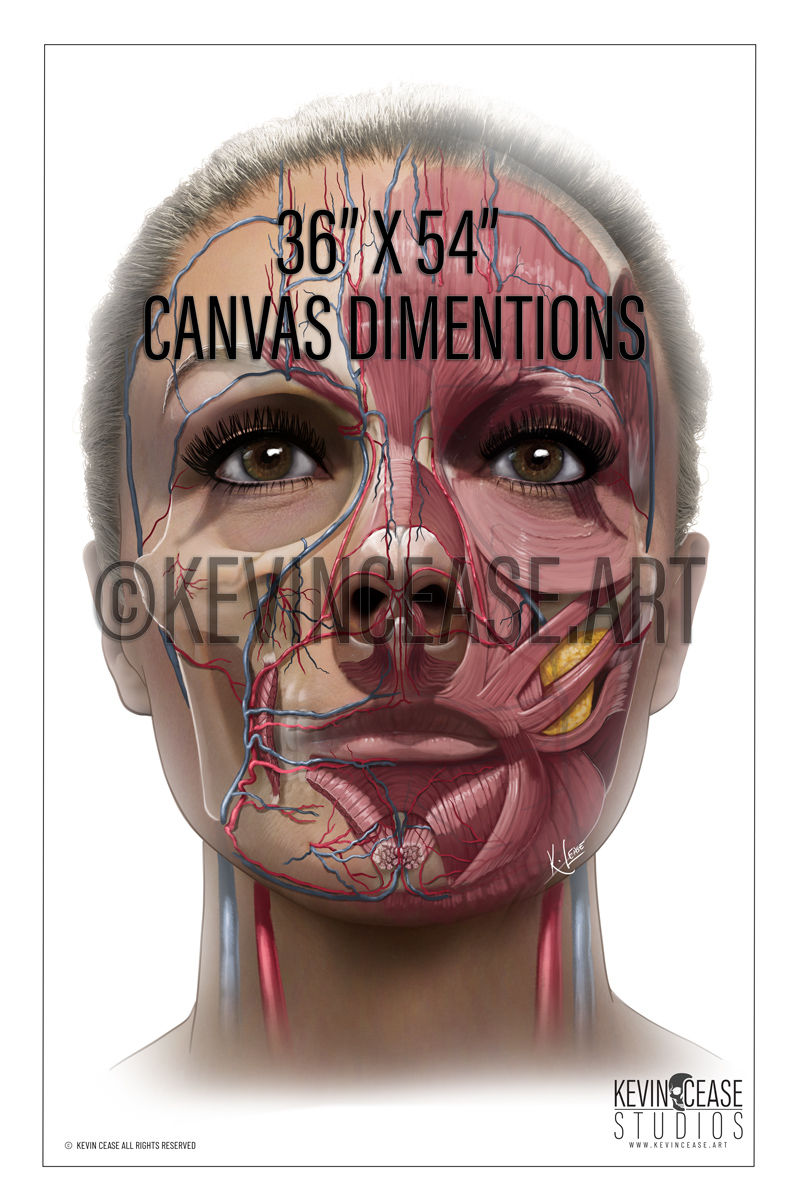 Thumbnail: Arteries and Veins fine art painting, white