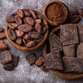 cacao sacré, fèves de cacao, santé par les plantes