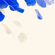 Blue And White Leaves