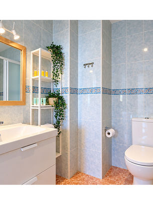 Skol Sea Views Apartments bathroom Marbella