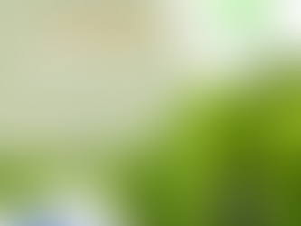 Green Greener al Kick-off Meeting di I3-4-SEAWEED