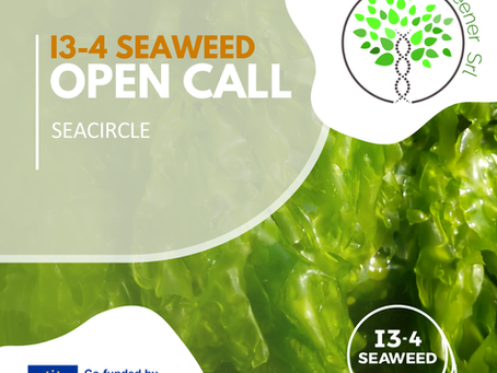 Green Greener al Kick-off Meeting di I3-4-SEAWEED