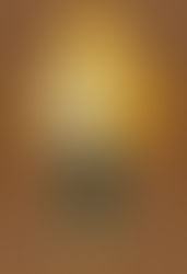 Isabelle (Spring ver.)Nendoroid:$49.66