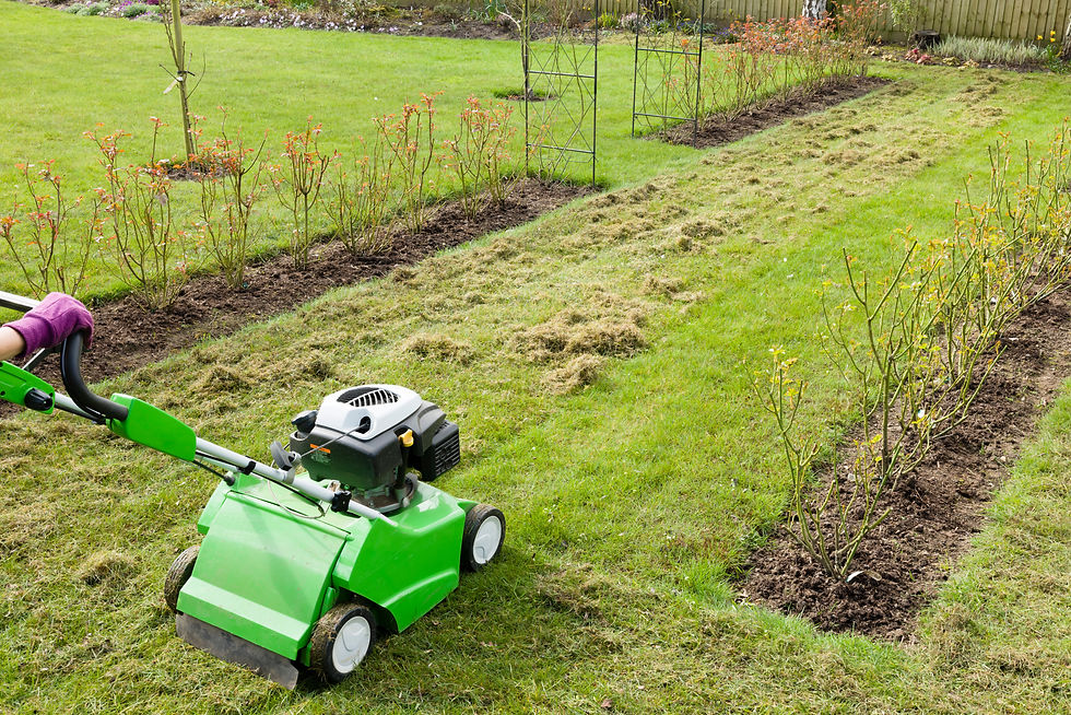 Lawn dethatching In Port Washington