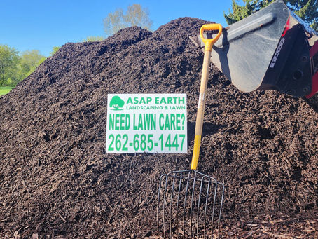 Should Old Mulch Be Removed Before Adding New Mulch?