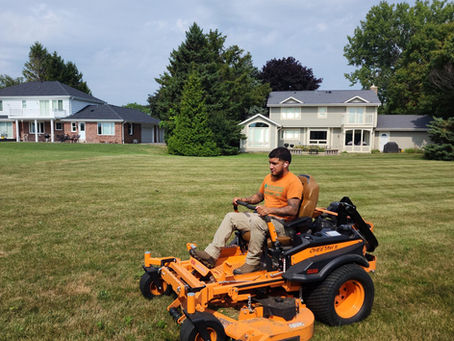 Why Does My Lawn Look Brown After Mowing?