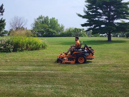 Should You Mow During a Drought?