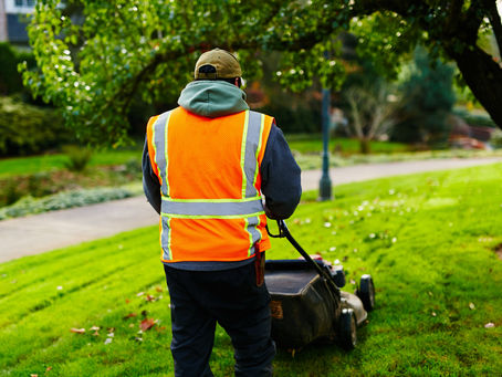 Port Washington lawn care Services
