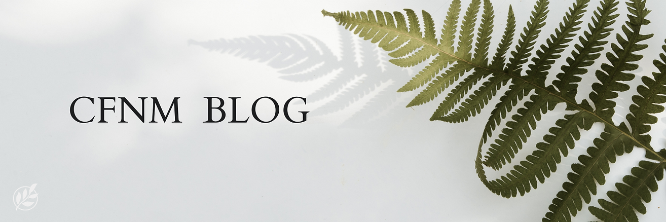 Minimal Travel Twitter Header (2).png