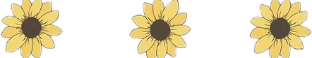 Aesthetic-Sunflower-PNG-Transparent-HD-Photo.png