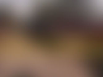 Windham Traffic Shooting