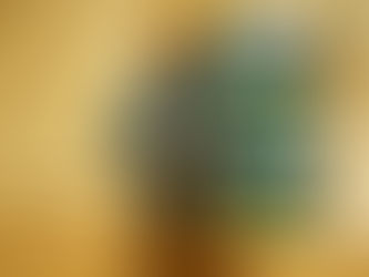 📰BIDDEFORD | VIDEO | Democratic Gubernatorial Candidate Dr. Nirav Shah Visits Biddeford