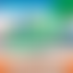 📰BIDDEFORD | 2 Bag Limit Takes Effect in 30 Days | Passed Unanimously